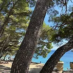 Romance On Punta Rata Brela