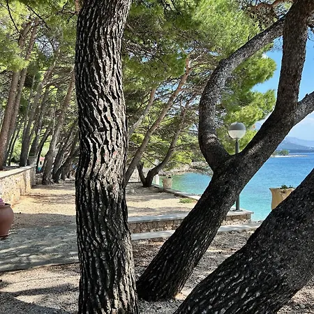 Ruza At Punta Rata Beach, Romance